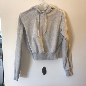 Light Gray Crop Hoodie